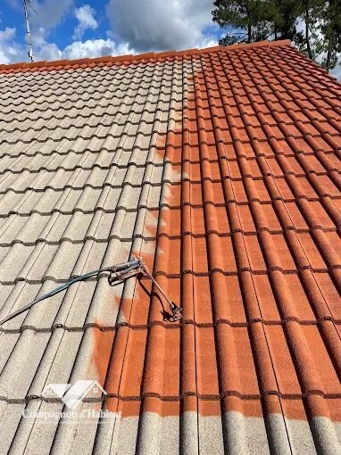 Nettoyage toiture, Peinture toiture