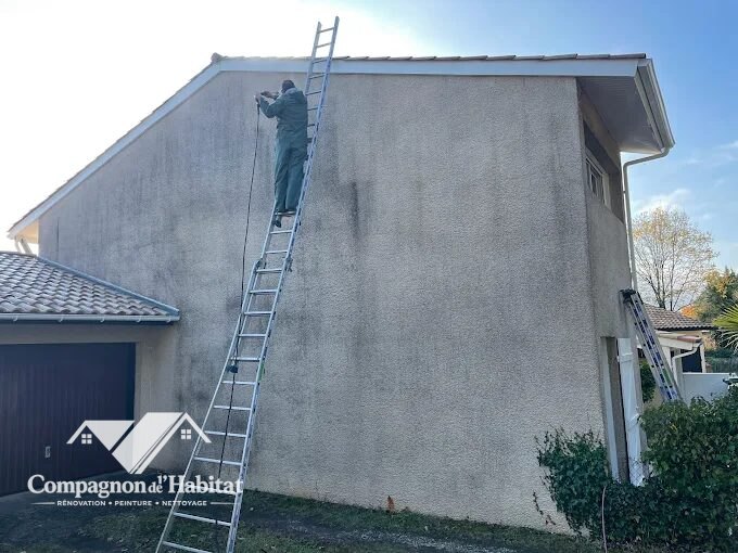 Peinture volets à Pessac - Compagnon de l'Habitat